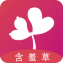 含羞草视频修改版