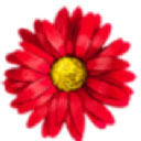 鲜花猫修改版