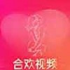 合欢视频免费版