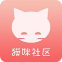 猫咪社区app