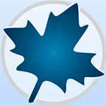 Maplesoft Maple 2020.1.1中文修改版