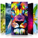 百万高清壁纸app