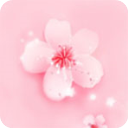 桃花直播app