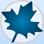 Maplesoft Maple 2019.2.1修改版