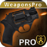 终极武器模拟器Pro修改版