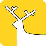 七喜直播app