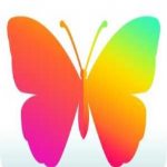 小性感直播app