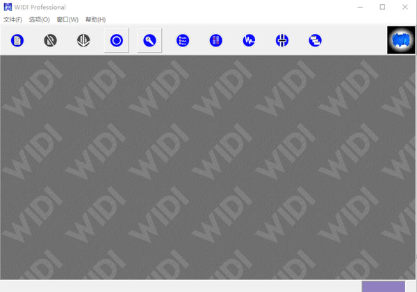 Widi Professional破解版