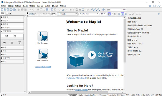 Maplesoft Maple 2021中文破解版