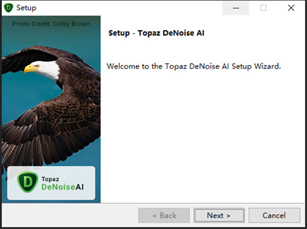 Topaz DeNoise AI 3汉化破解版