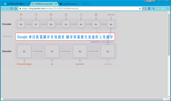 Copyfish(Chrome复制鱼插件)绿色版