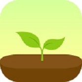 forest修改版