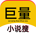 巨量小说搜app
