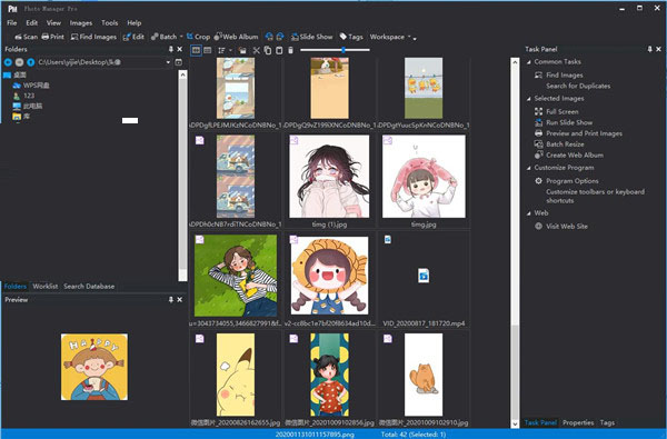 Photo Manager Pro 4破解版