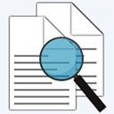 Wise Duplicate Finder Pro绿色便携版