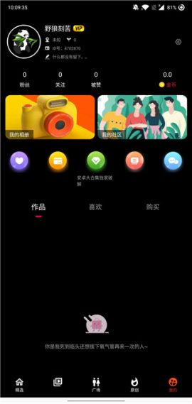熊猫视频无限看版