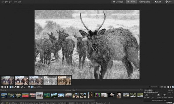 Acdsee Pro 8.0破解版