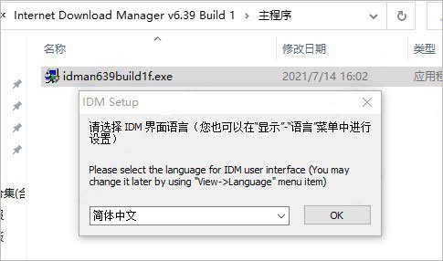 idm2021破解版