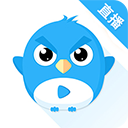 小鹰直播tv版
