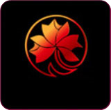 秋叶直播app最新版