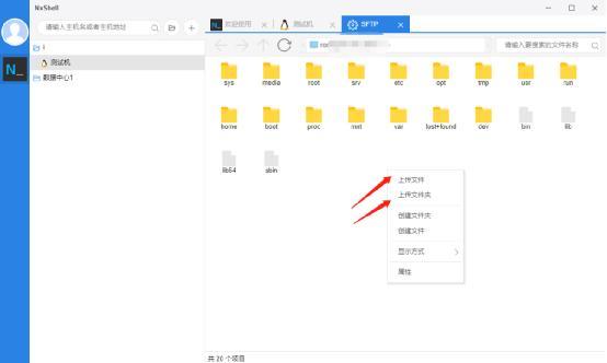 NxShell汉化版 