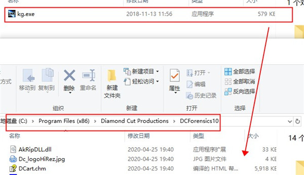 Diamond Cut Forensics注册机