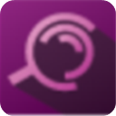 Steelray Project Analyzer 2020修改版