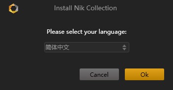 Nik Collection2021破解版