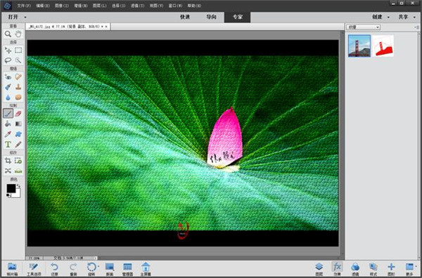 Photoshop Elements 2022破解版