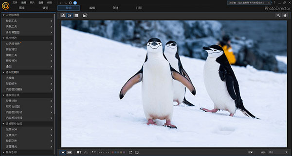 CyberLink PhotoDirector 13破解版