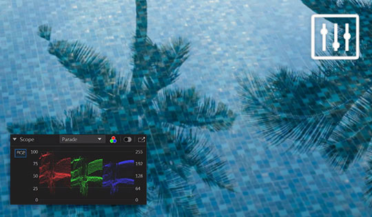 ColorDirector10破解版