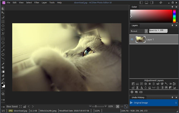 ACDSee Photo Editor 10破解版