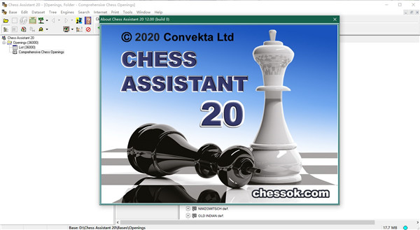 Chess Assistant 20破解版