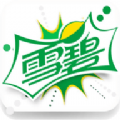 雪碧直播app官方版