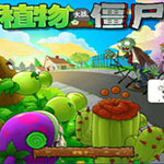 植物大战僵尸2010年度版电脑版