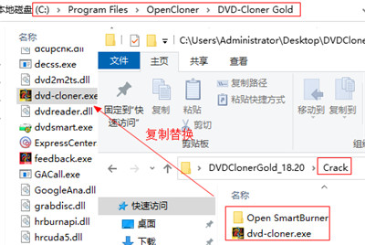 DVD-Cloner Gold破解版