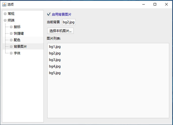 FinalShell绿色高级破解版