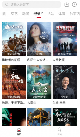 飞英视频标准版