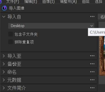 Capture One 22 Pro破解版