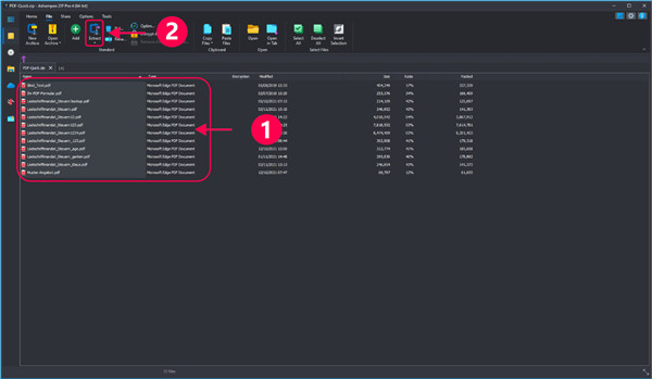 Ashampoo ZIP Pro 4破解版