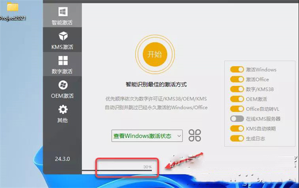 project2021专业版