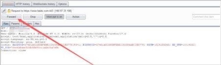 burpsuite2021汉化包