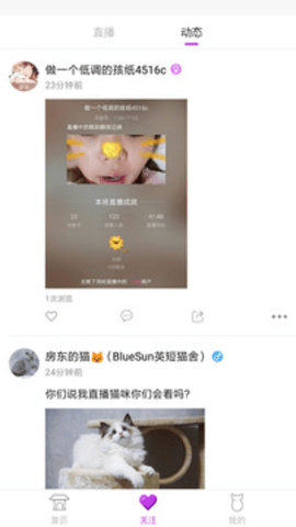 狐聊直播最新版