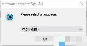 Hetman Internet Spy破解版
