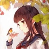 翠鸟直播app官方版