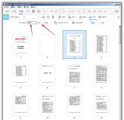 Acrobat Pro DC 2022破解补丁
