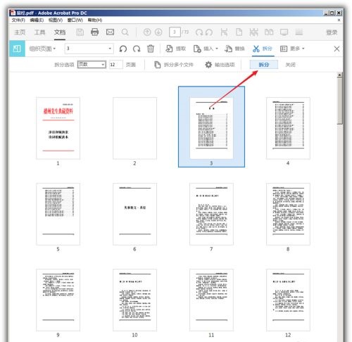 Acrobat Pro DC 2022破解补丁