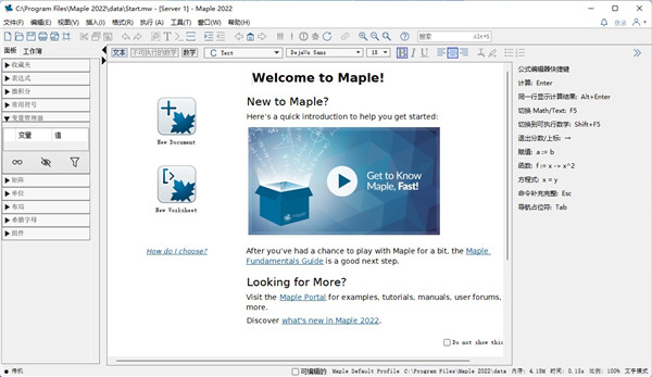 Maplesoft Maple 2022破解文件