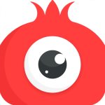 石榴直播app免费版