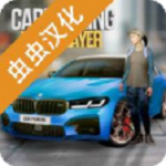 多人停车联机版汉化修改版